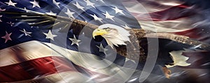 Bald eagle american flag