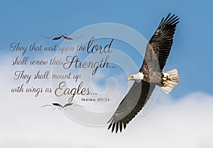 Bald Eagle Bible Verse