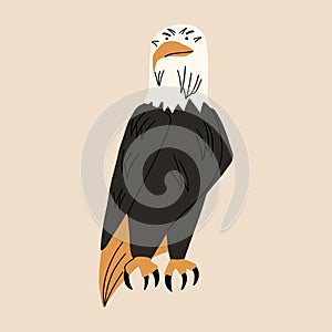 Bald eagle, bird of prey. Vector illustration in flat style