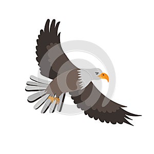 Bald eagle. Cartoon vector illustration for children isolated on white background.