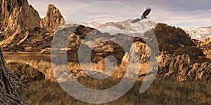 Bald Eagle in the Colorado Rockies