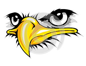 bald eagle face cartoon mascot . can use for sport logo