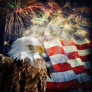 Bald Eagle & Fireworks