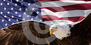 Bald eagle and flag