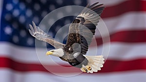 Bald eagle flies past american flag, american flag image