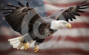 Bald Eagle in flight with the American Flag in the background