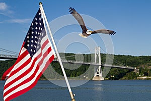 Bald Eagle in flight with the American Flag