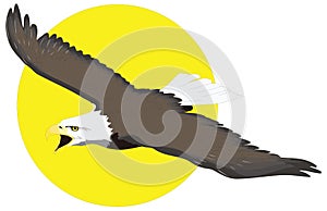 bald eagle fly yellow sun moon bird vector illustration transparent background