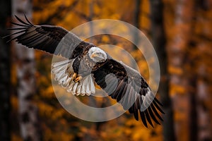 bald eagle flying in forest .Generative Ai