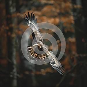 bald eagle flying in forest .Generative Ai