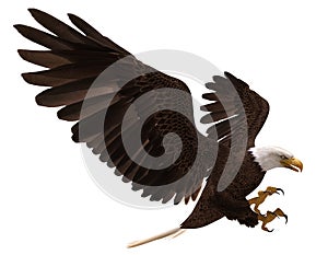 Bald eagle flying isolated on white 3d illustration