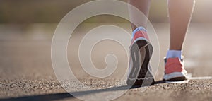 Bald eagle flying near forest