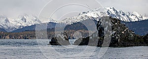 Bald eagle flying over Gull Island rock formation in Kachemak Bay near Homer in Alaska USA