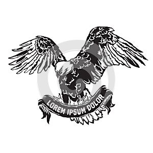 Bald Eagle flying vector illustration in vintage hand drawn style