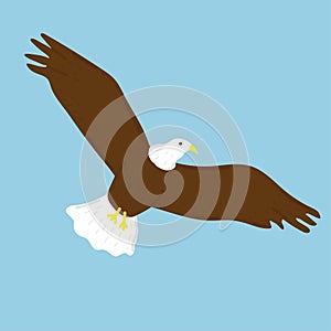 bald eagle with golden beak. Hand drawn vector illustration isolated on white background