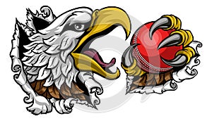 Bald Eagle Hawk Ripping Cricket Ball Mascot