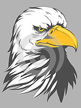 Bald Eagle Head Cartoon