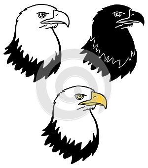 Bald Eagle Head Clipart - Outline, Silhouette & Color