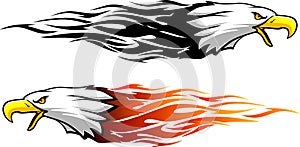 Bald Eagle Head Flame