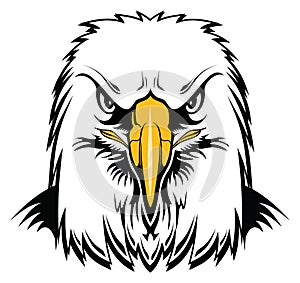 Bald Eagle Head