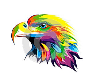 Bald eagle head portrait from multicolored paints. Splash of watercolor, colored drawing, realistic