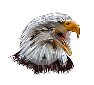 Bald eagle head portrait from a splash of watercolor, colored drawing, realistic photo