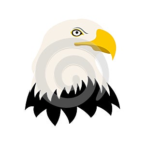 Bald eagle icon