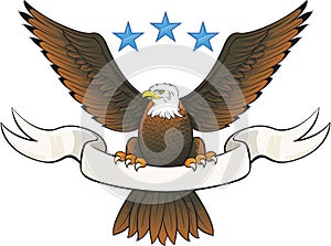 Bald Eagle Insignia