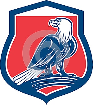 Bald Eagle Perching Shield Retro