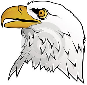 Bald Eagle Portrait Illustration