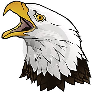 Bald Eagle Portrait Illustration