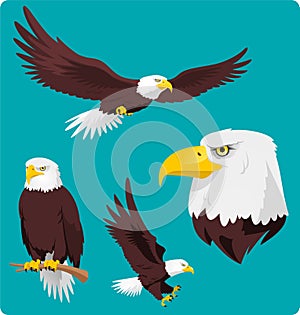 Bald Eagle set