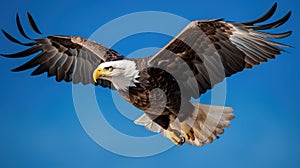 A bald eagle soaring in the sky, AI