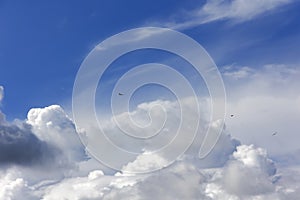 A bald eagle soars through a blue sky through clouds