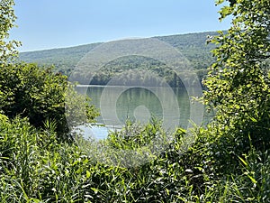 Bald Eagle State Park in Pennsylvania photo