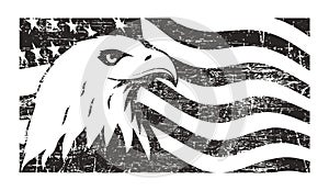 Bald eagle symbol of North America on grunge background with USA flag.