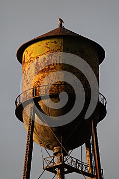 Bald Eagle on the top of an old historic water tower.