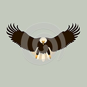 Bald eagle vector illustration style Flat