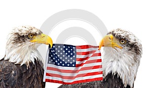 The Bald Eagles holds in the beak of the United States Flag.