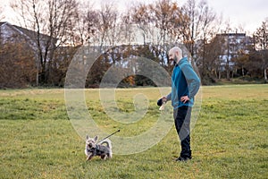 Bald man in blue jacket with his Yorkshire pet terrier in a park. Pet care and friendship concept