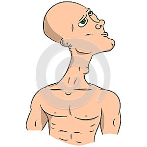 Bald man with a naked torso. Vector drawing.