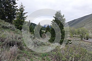 Bald Mountain - Sun Valley, Idaho