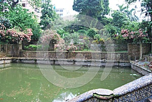 Baldha Garden is one of the oldest Botanical Gardens in Bangladesh. The garden is enriched with rare plant species collected from