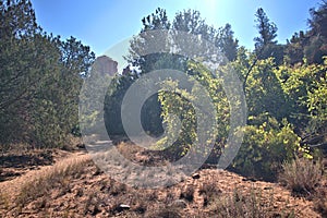 Baldwin Hiking Trail in Sedona, AZ