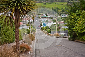 Baldwin street in Dunedin as the worlds steepest street, New Zealand