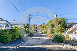 Baldwin Street which is located in Dunedin,New Zealand photo
