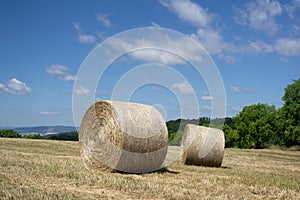 Bale of dry hay on field and meadow