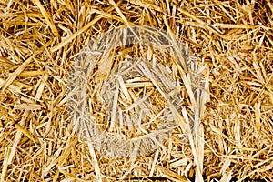 Bale golden straw texture ruminants animal food photo