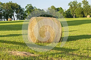 Bale of Hay