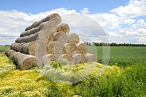 Bale of hay